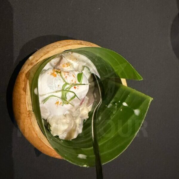 marquis-reforma-colombia-9