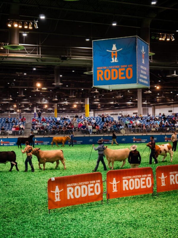 Rodeo de Houston