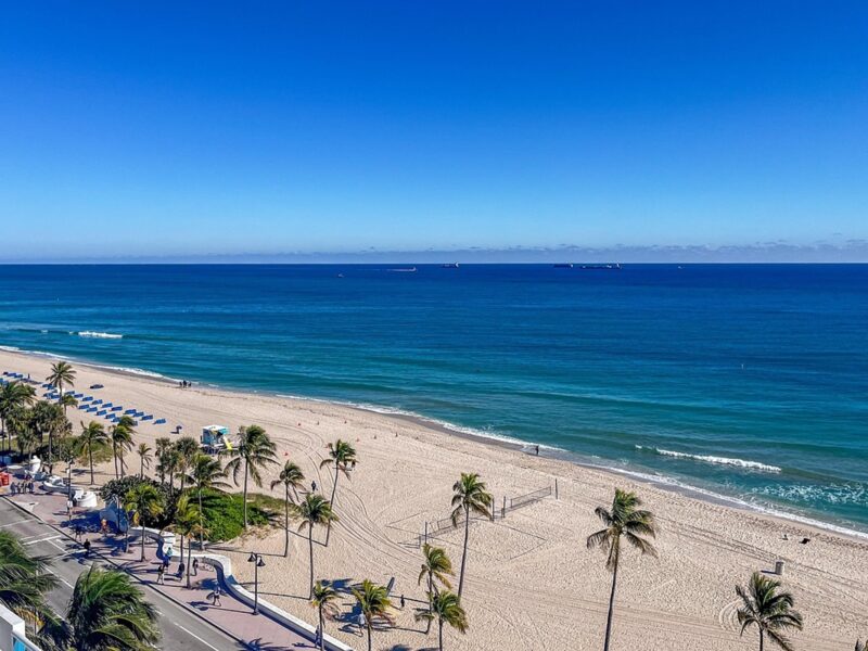 Descubre lo mejor de Miami: playas, arte y cultura en cada rincón de la ciudad del Sol.