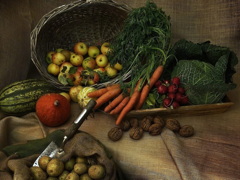 Granjas francesas ofrecen productos locales y experiencias sostenibles.