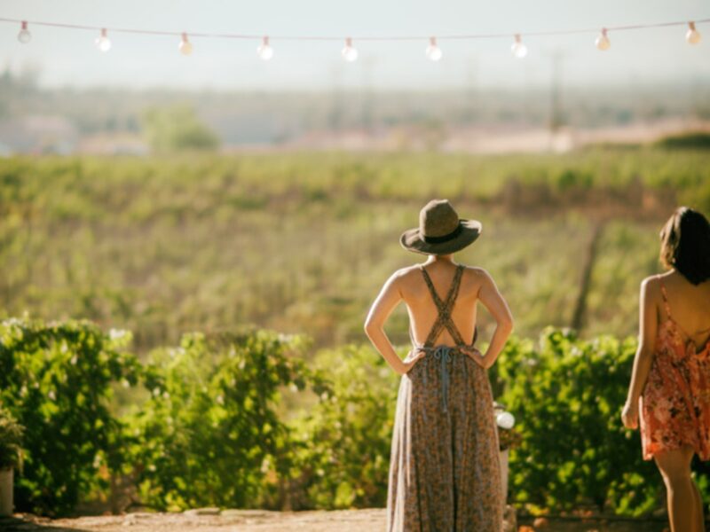Los destinos más acogedores de México combinan paisajes naturales, cultura y hospitalidad excepcional.