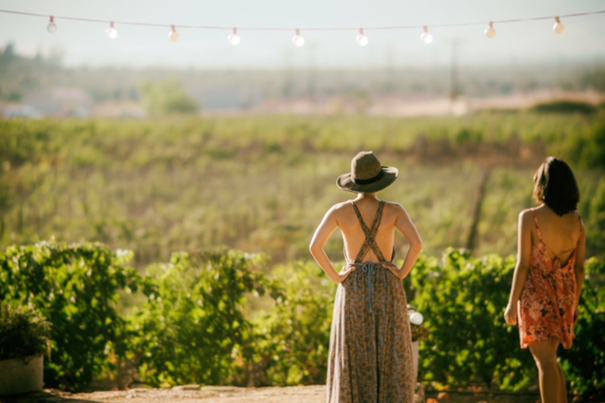 Los destinos más acogedores de México combinan paisajes naturales, cultura y hospitalidad excepcional.