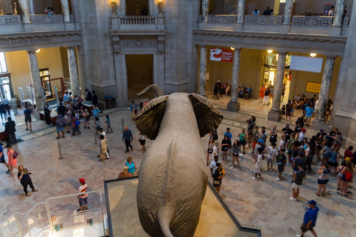 Washington DC Noche del museo