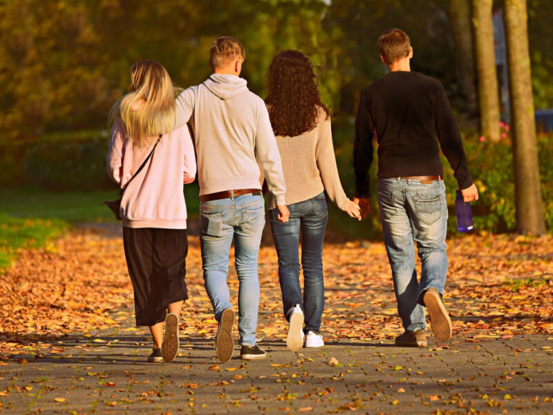 Parques y espacios naturales alrededor del mundo, perfectos para caminar, relajarse y disfrutar al aire libre.