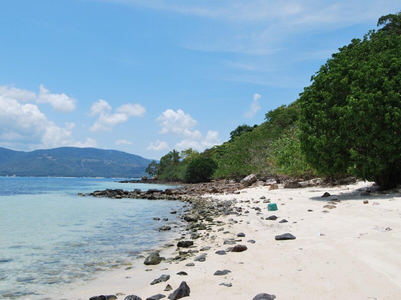 Vista de una playa mexicana con arenas doradas y aguas turquesa, uno de los destinos favoritos que marcarán tendencia este 2026.