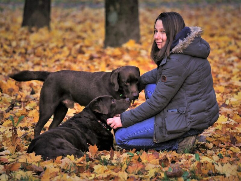 Los viajes en 2026 estarán marcados por experiencias más personalizadas, desde aventuras extremas hasta recorridos con mascotas.
