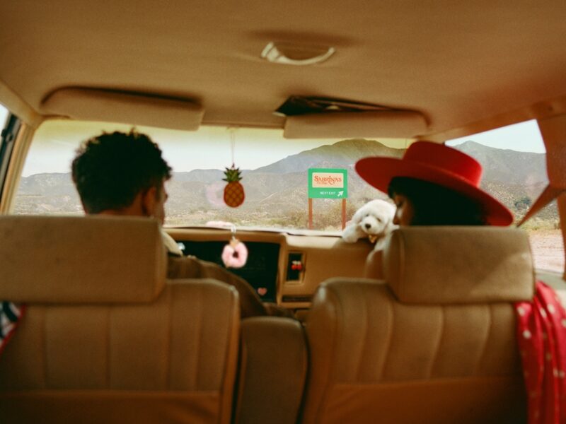 Fans de Sabrina Carpenter disfrutan de su mundo mágico en California.