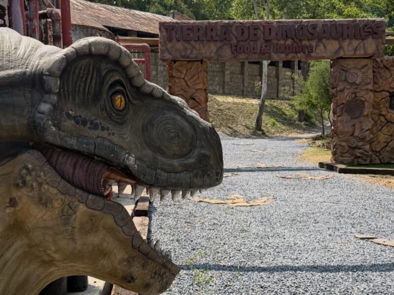 Museo “Tierra de Dinosaurios” en Santiago ofrecerá una experiencia interactiva con dinosaurios y fósiles.
