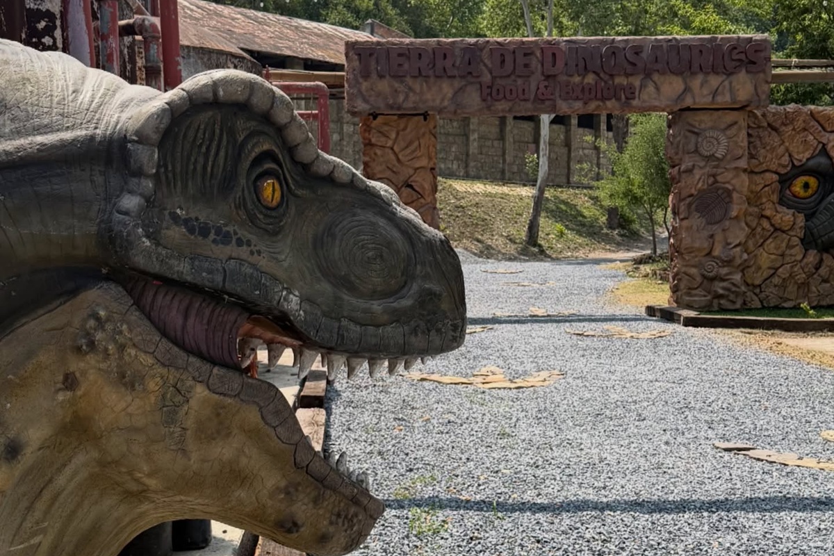 Museo “Tierra de Dinosaurios” en Santiago ofrecerá una experiencia interactiva con dinosaurios y fósiles.