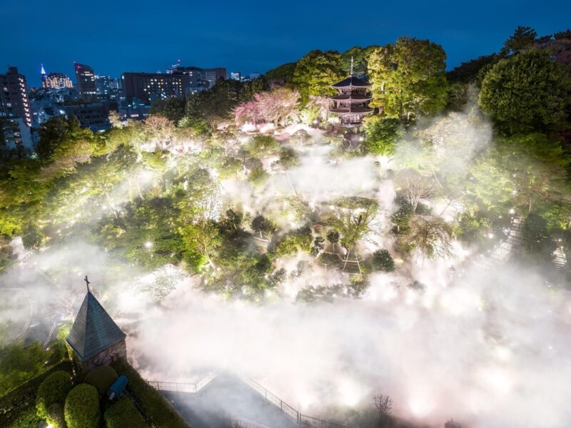 Luces y naturaleza en el Hotel Chinzanso Tokyo.