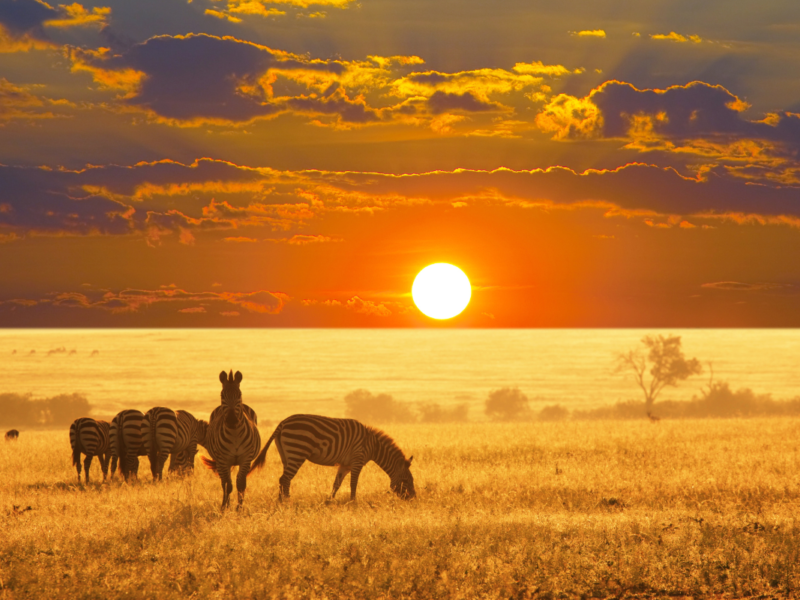 Namibia