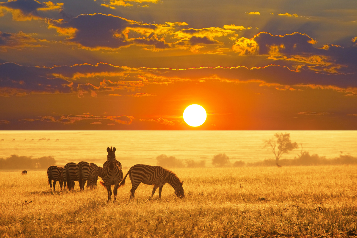 Namibia