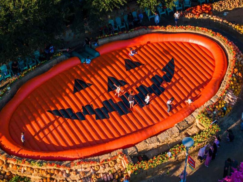 Festival de las Calabazas
