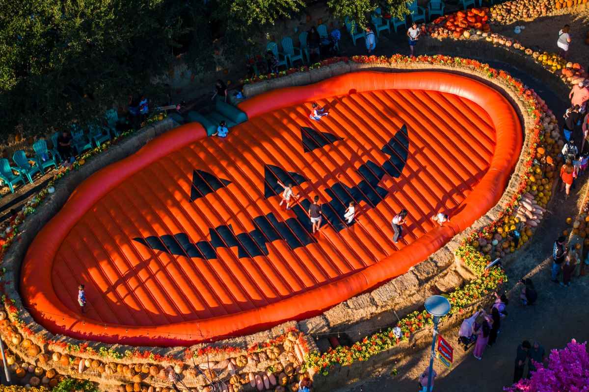 Festival de las Calabazas